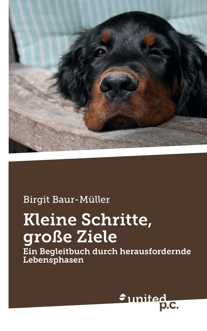 Kleine Schritte, große Ziele: Ein Begleitbuch durch herausfordernde Lebensphasen