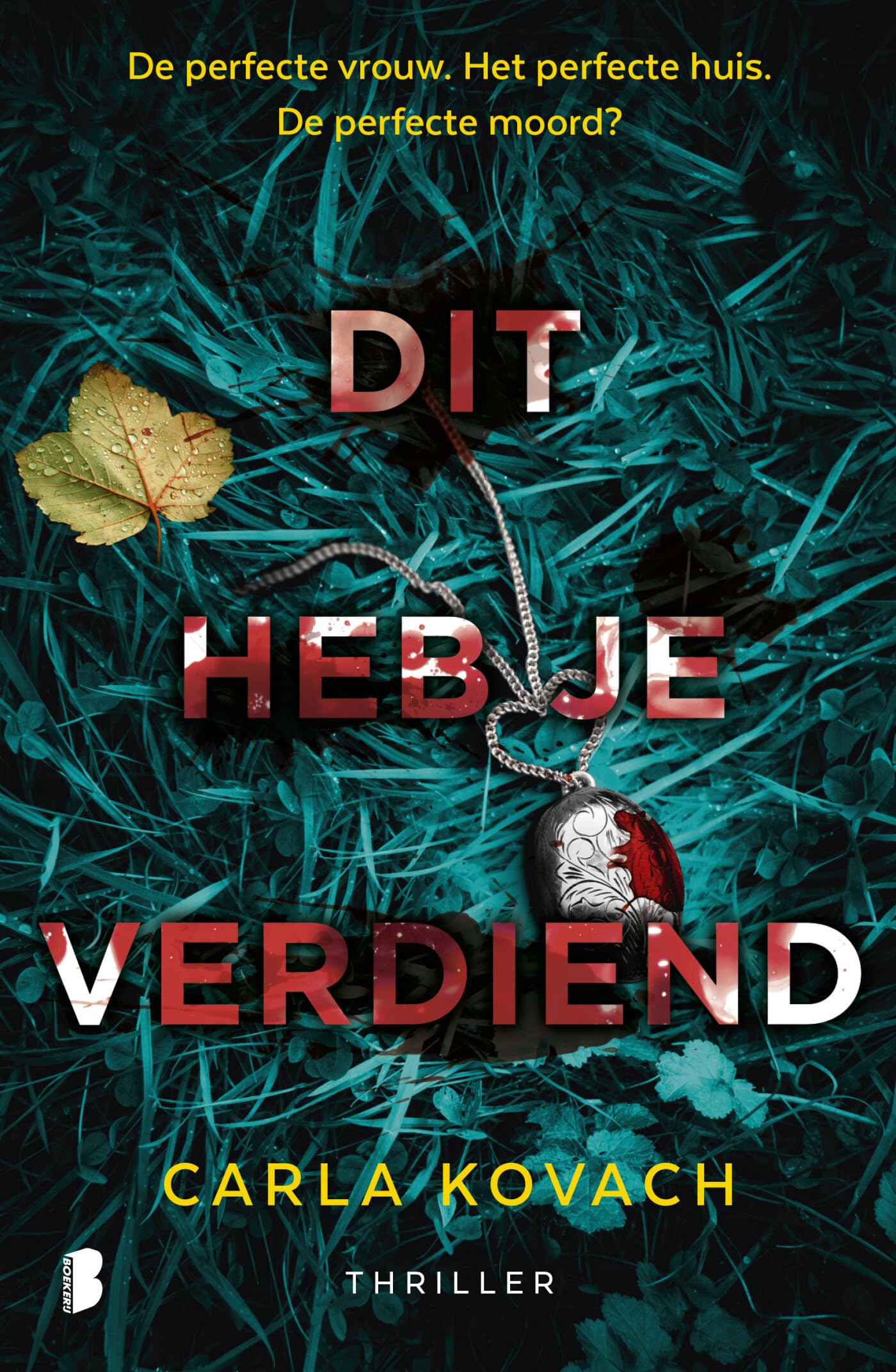 Perfecte Dit heb je verdiend: de perfecte vrouw. Het perfecte huis. De perfecte ...