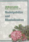 Nadelgehölze und Rhododendron