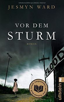 Vor dem Sturm: Roman