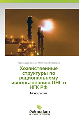 Khozyaystvennye struktury po ratsional'nomu ispol'zovaniyu PNG v NGK RF: Monografiya: Monografiq