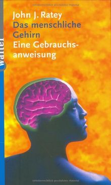 Das menschliche Gehirn. Eine Gebrauchsanweisung