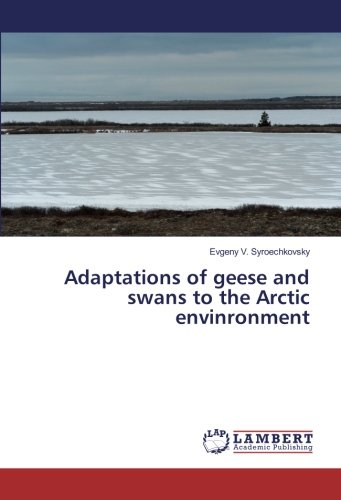 Adaptations of geese and swans to the Arctic envinronment