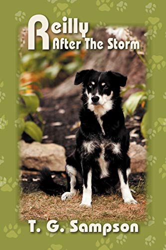 Reilly After the Storm