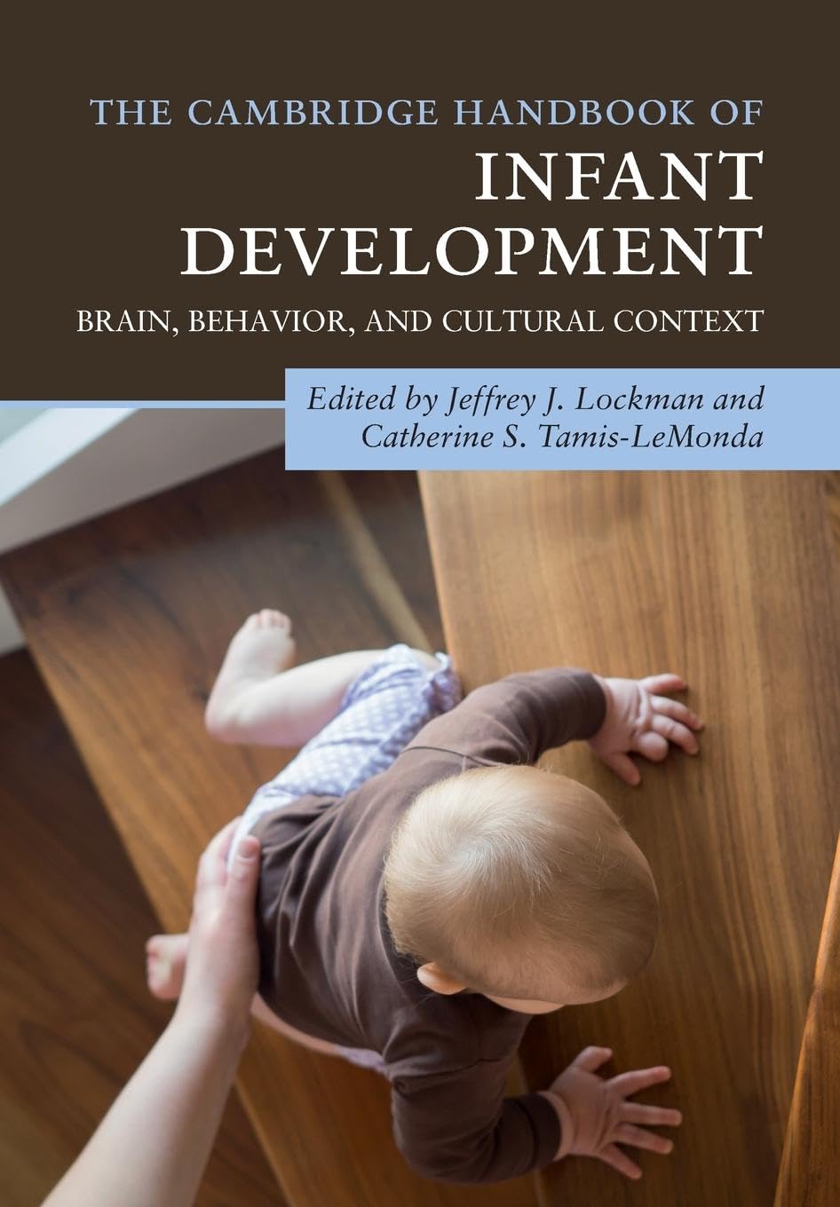 unbekannt The Cambridge Handbook Of Infant Development, Brain, Behavior, And Cultural Context (Cambridge Handbooks In Psychology)