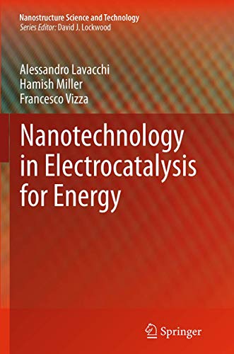 Nanotechnology in Electrocatalysis for Energy (Nanostructure Science and Technology, Band 170)
