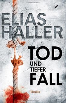 Tod und tiefer Fall: (Ein Erik-Donner-Thriller 1)