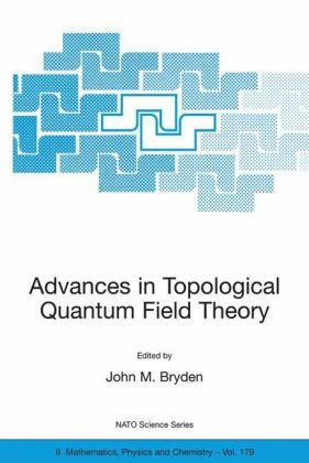 Optimal Control from Theory to Computer Programs (Solid Mechanics and Its Applications)