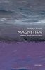 Magnetism: A Very Short Introduction (Very Short Introductions)