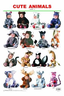 My Play School - 2