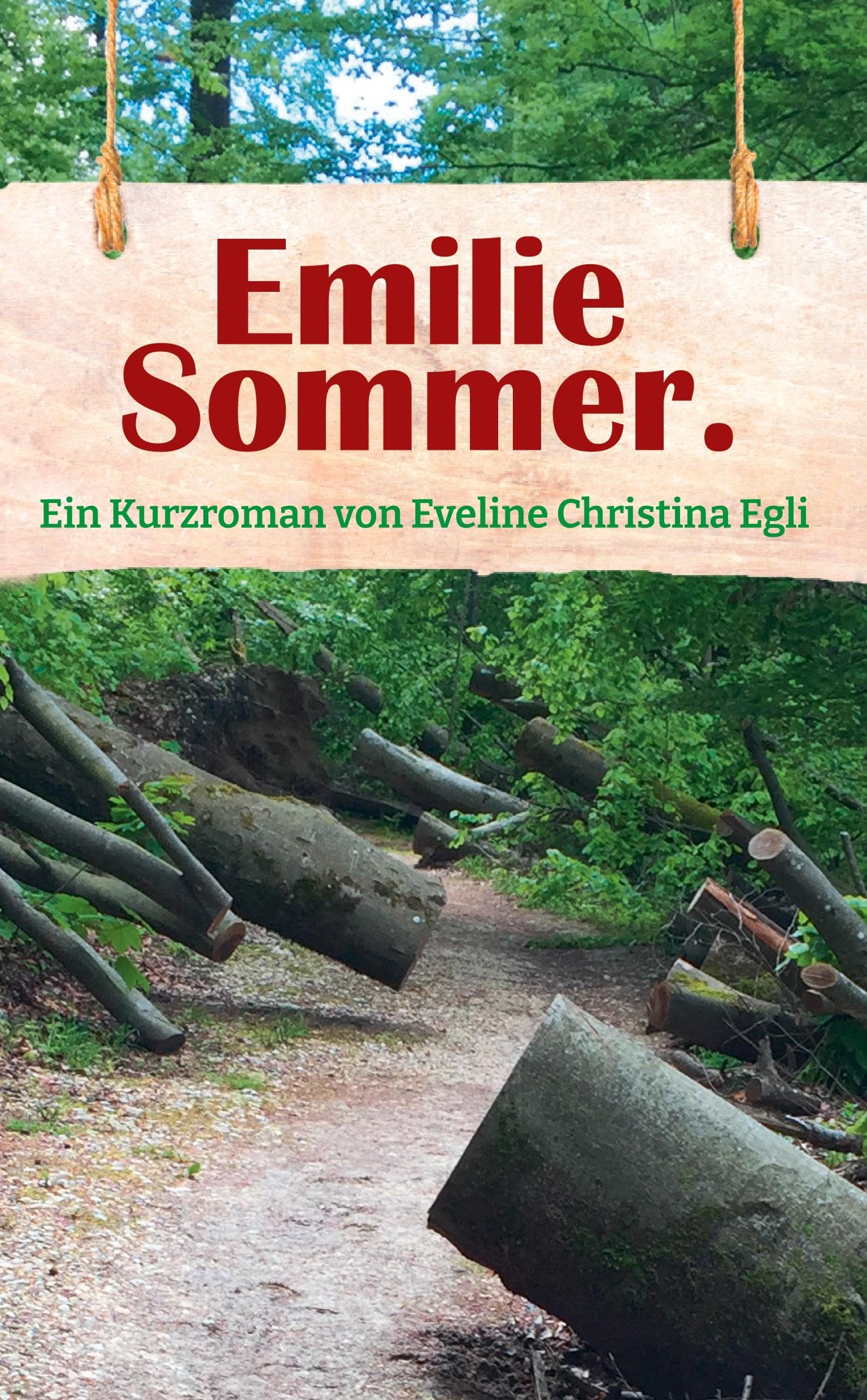 EMILIE SOMMER.: Ein spannender Kurzroman über Mut, Misstrauen und den Wunsch, endlich ernst genommen zu werden: Ein spannender Kurzroman u¿ber Mut, ... den Wunsch, endlich ernst genommen zu werden