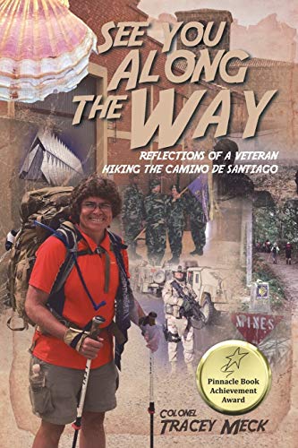 See You Along The Way: Reflections of a Veteran Hiking The Camino de Santiago