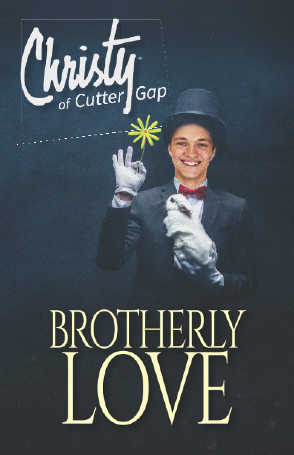 Brotherly Love (Christy of Cutter Gap, Band 12)