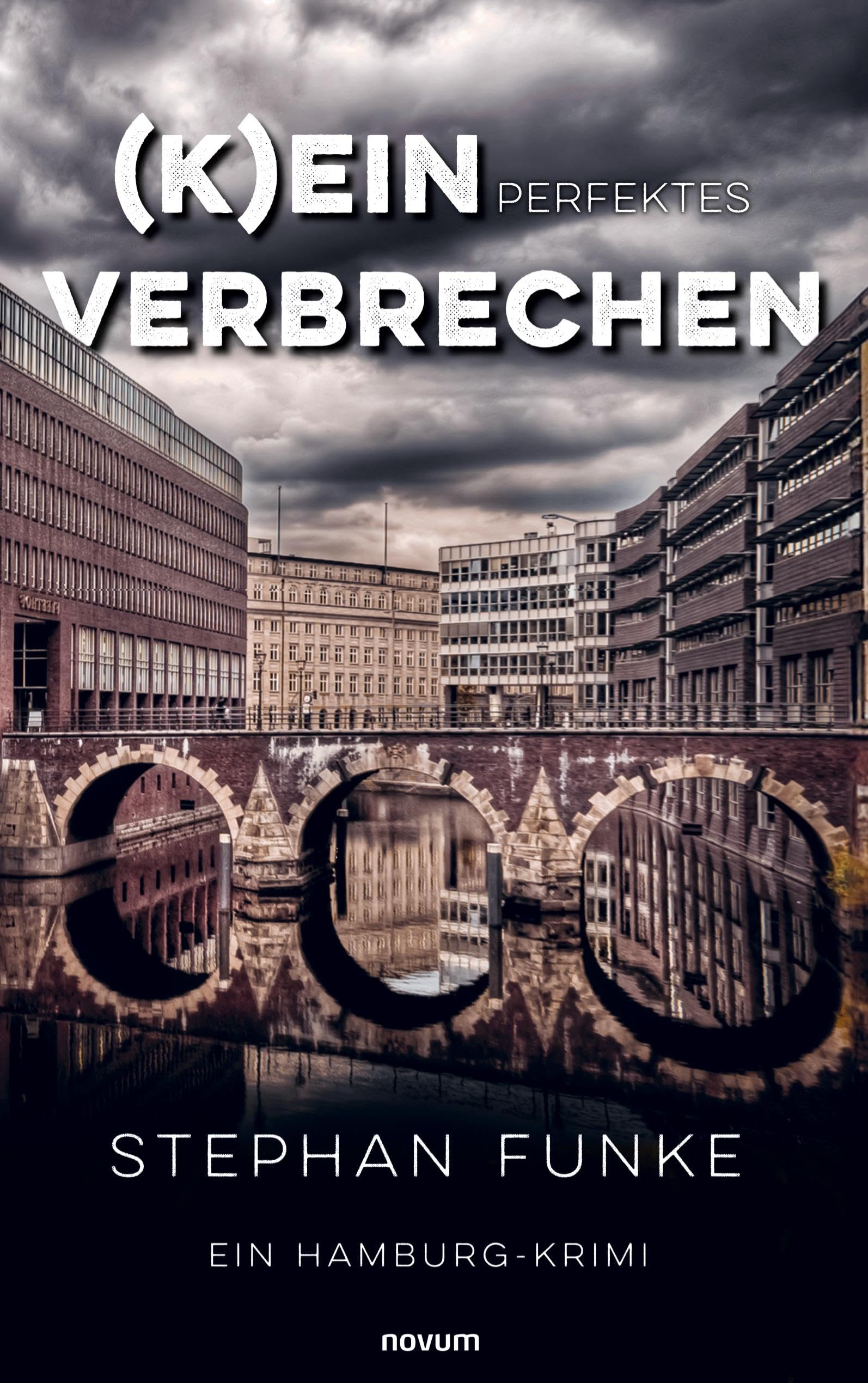(K)ein perfektes Verbrechen: Ein Hamburg-Krimi