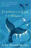 Journey to the End of the Whale