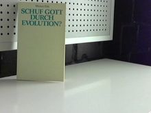 Schuf Gott durch Evolution?