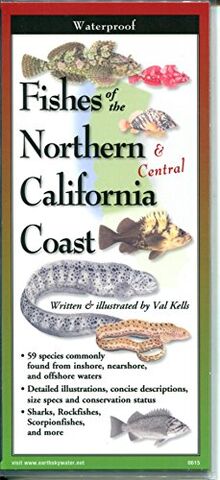 Fishes of Northern & Central California Coast