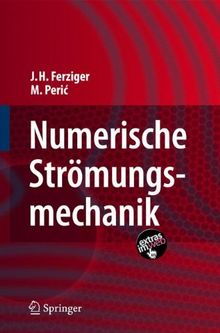 Numerische Strömungsmechanik (German Edition)