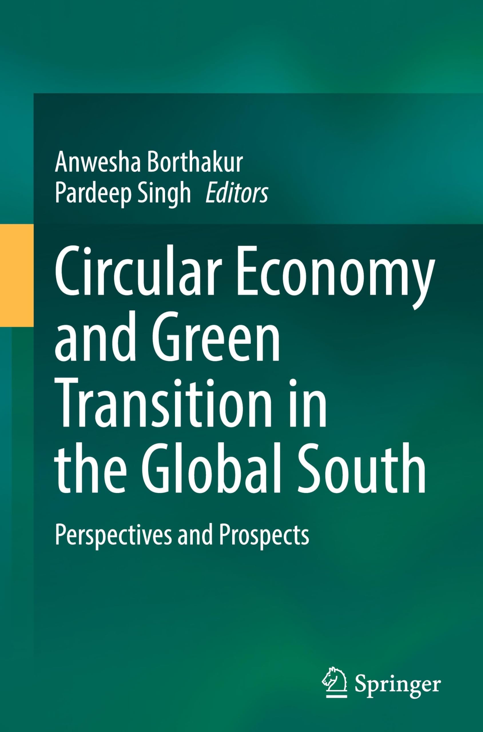 Circular Economy and Green Transition in the Global South: Perspectives and Prospects