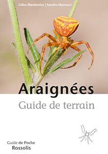 Araignées : guide de terrain