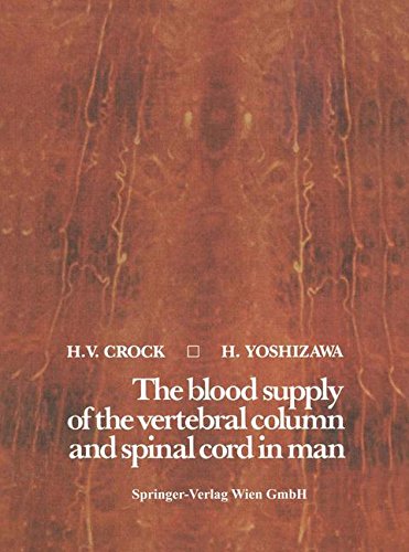 The blood supply of the vertebral column and spinal cord in man