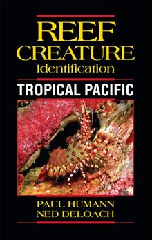 Tropical Pacific (Reef Creature Identification)