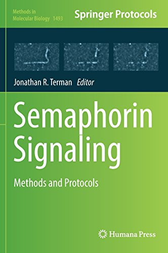 Semaphorin Signaling: Methods and Protocols (Methods in Molecular Biology)