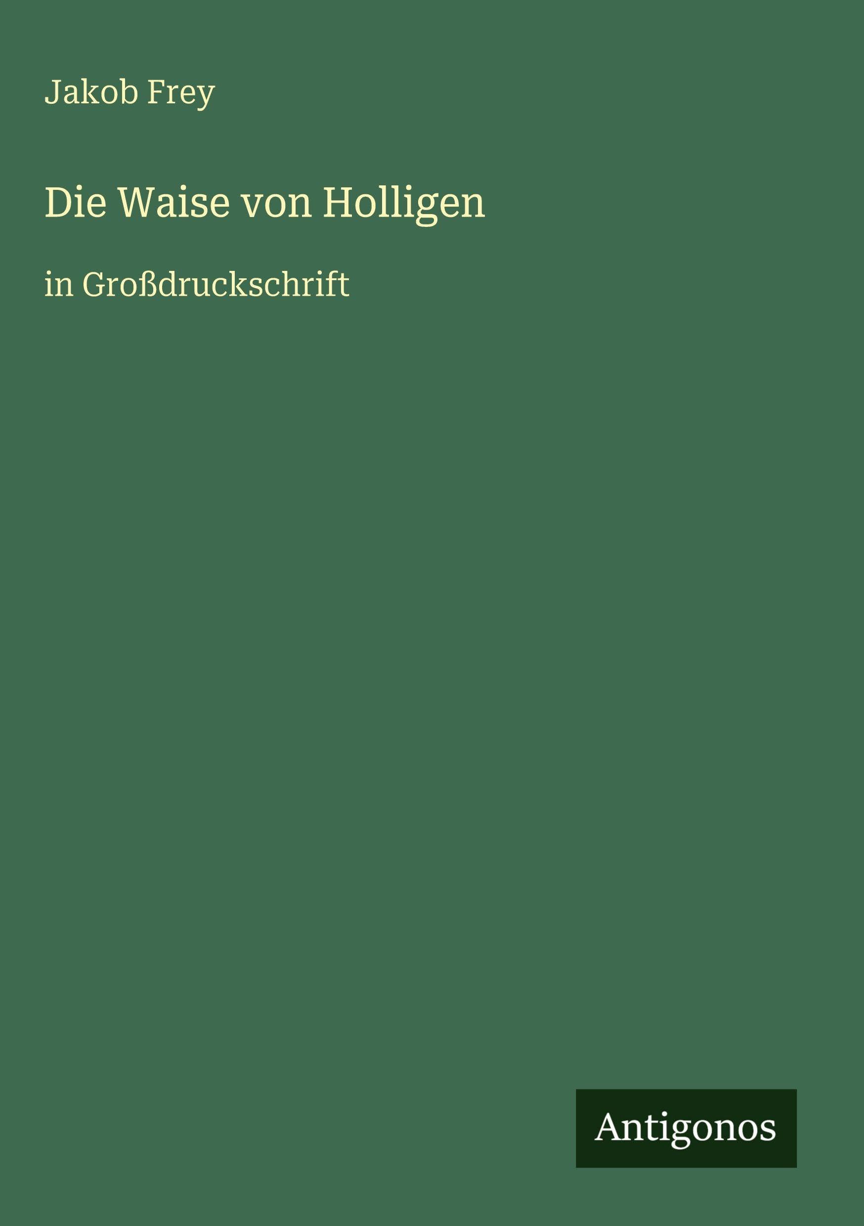 Die Waise von Holligen: in Großdruckschrift