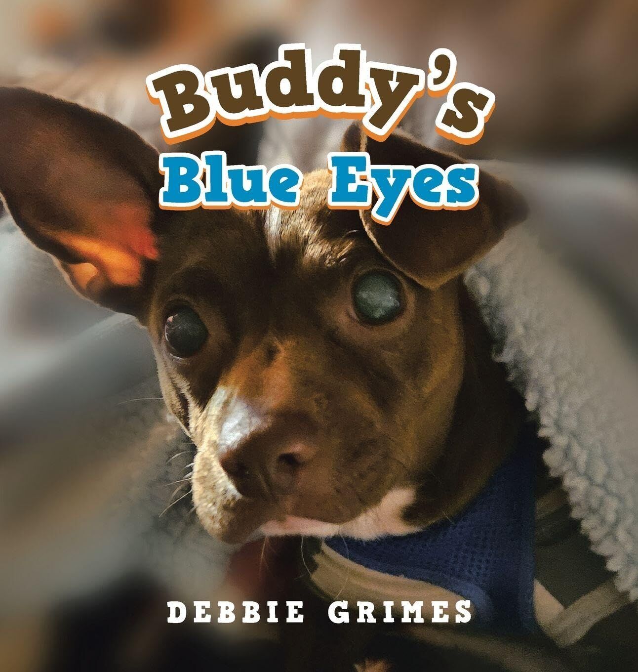 Buddy's Blue Eyes