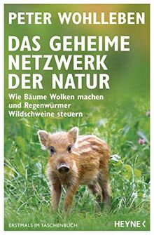 Das geheime Netzwerk der Natur: Wie Bäume Wolken machen und Regenwürmer Wildschweine steuern