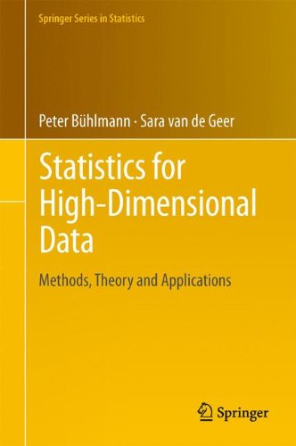Statistics for High-Dimensional Data: Methods, Theory and Applications (Springer Series in Statistics)
