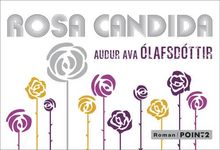 Rosa candida