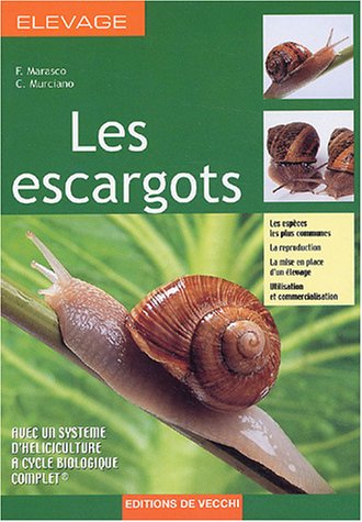 Les Escargots (animaux)