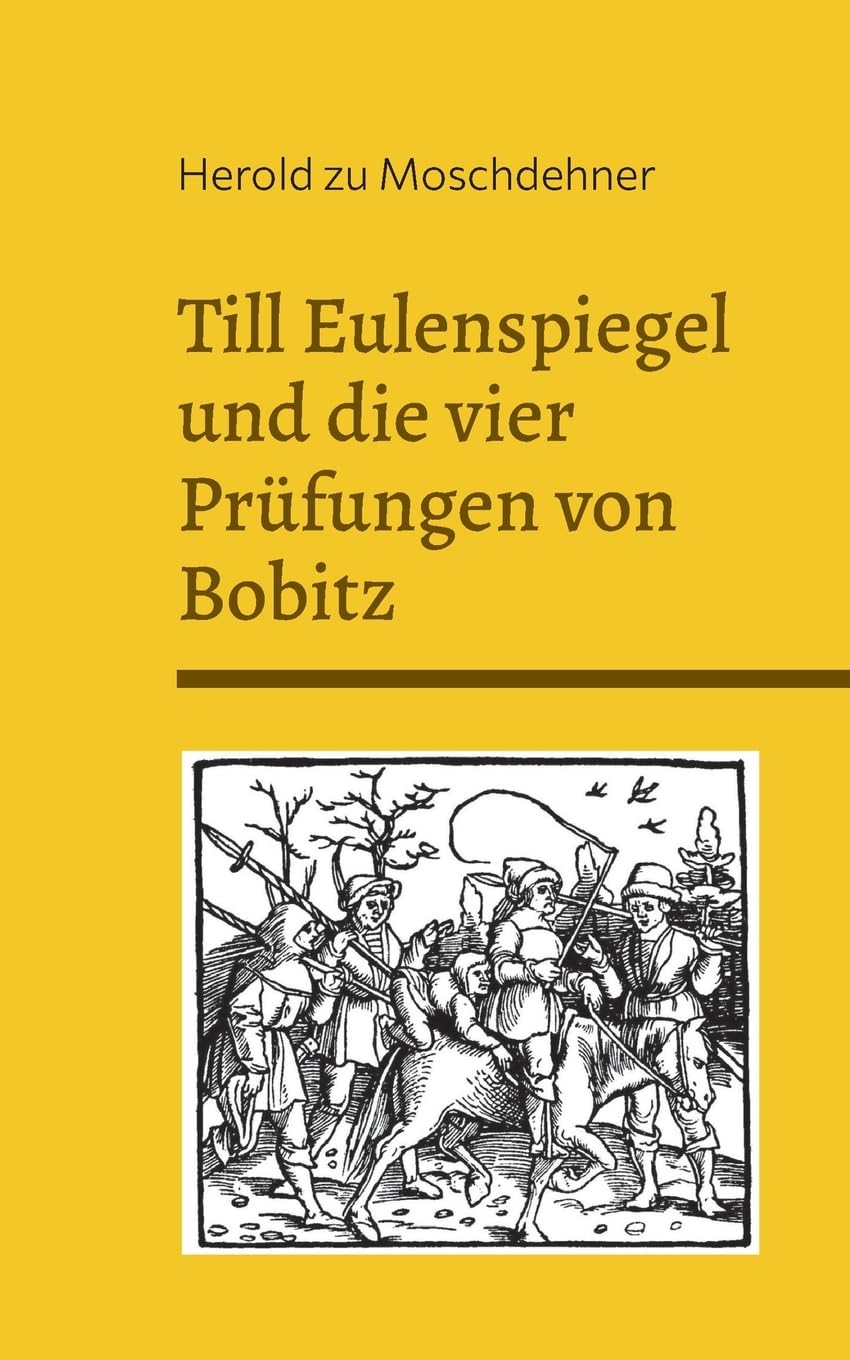 Till Eulenspiegel und die vier Prüfungen von Bobitz: Das Rätsel des Nebels