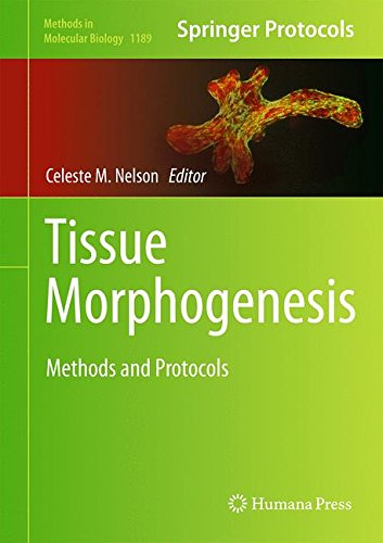Tissue Morphogenesis: Methods and Protocols (Methods in Molecular Biology)