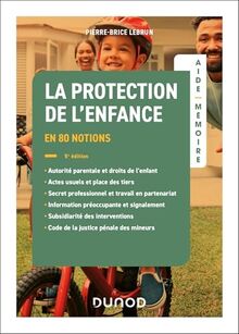 La protection de l'enfance : en 80 notions