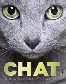 Chats : un univers fabuleux