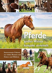 Pferde