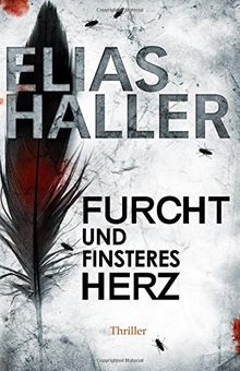 Furcht und finsteres Herz: Ein Erik-Donner-Thriller 5