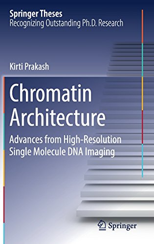 Chromatin Architecture: Advances From High-resolution Single Molecule DNA Imaging (Springer Theses)