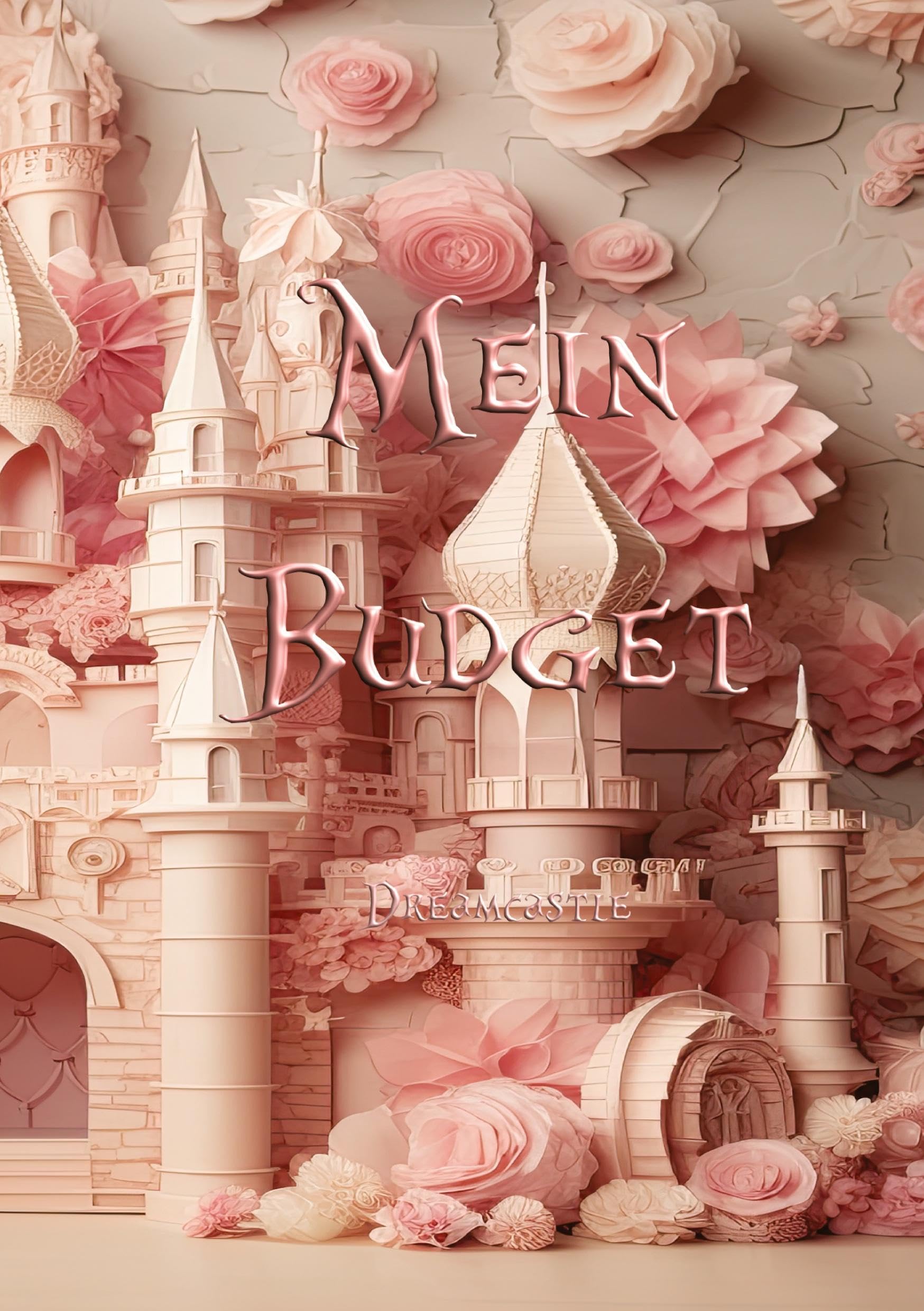 Mein Budget - Dreamcastle Edition: Ein geführtes Budgetbuch, welches dir hilft, deine finanzielle Gesundheit zu pushen.