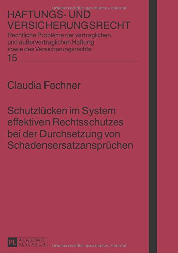 Schutzlücken im System effektiven Rechtsschutzes bei der Durchsetzung von Schadensersatzansprüchen (Haftungs- und Versicherungsrecht)