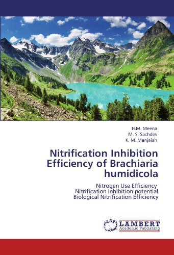 Nitrification Inhibition Efficiency of Brachiaria humidicola: Nitrogen Use Efficiency Nitrification Inhibition potential Biological Nitrification Efficiency