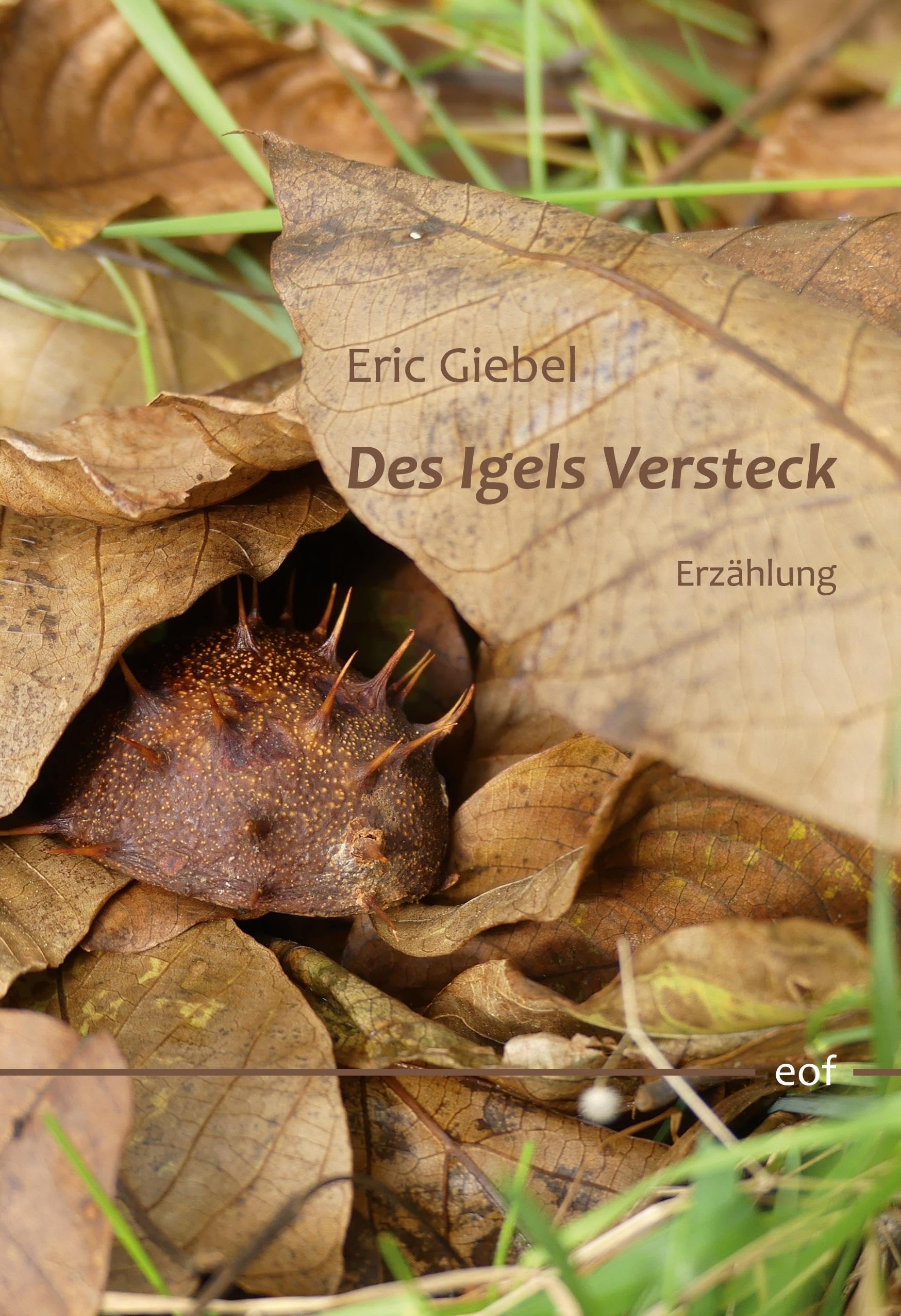 Des Igels Versteck: Erzählung (edition offenes feld)