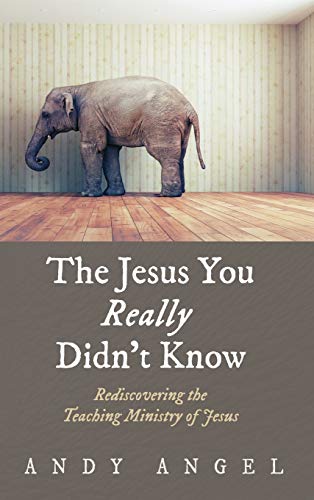 The Jesus You Really Didn't Know: Rediscovering the Teaching Ministry of Jesus