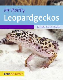 Ihr Hobby Leopardgeckos