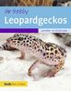 Ihr Hobby Leopardgeckos