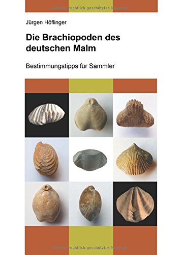 Die Brachiopoden des deutschen Malm: Bestimmungstipps für Sammler
