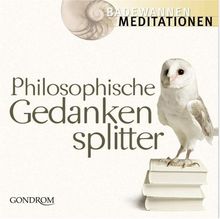 Philosophische Gedankensplitter