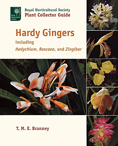 Branney, T. M. E. Hardy Gingers, Including Hedychium, Roscoea, And Zingiber
